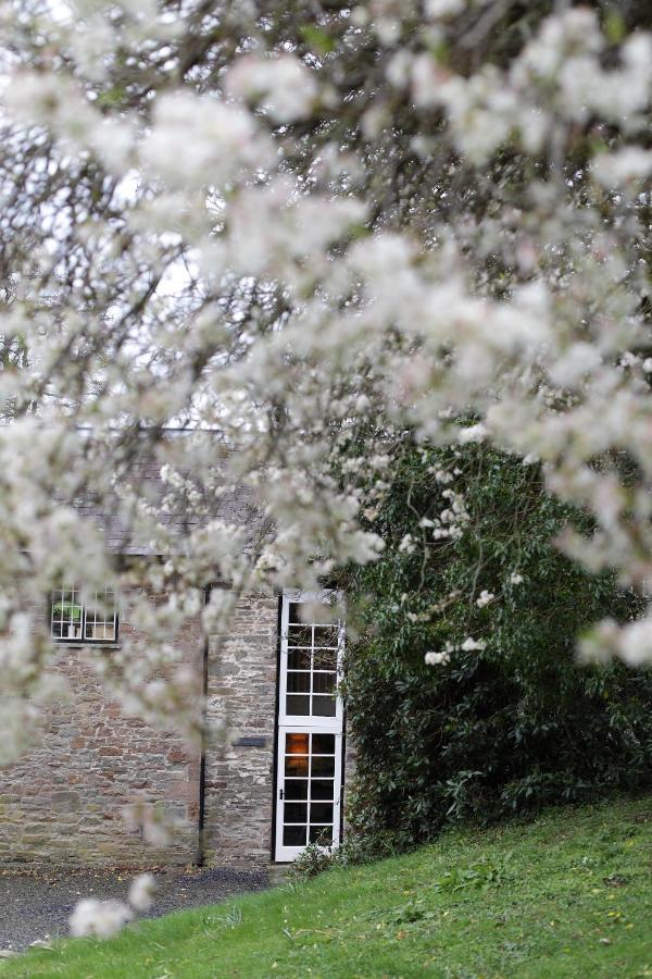 Glasbury Glanhenwye Courtyard Cottages מראה חיצוני תמונה
